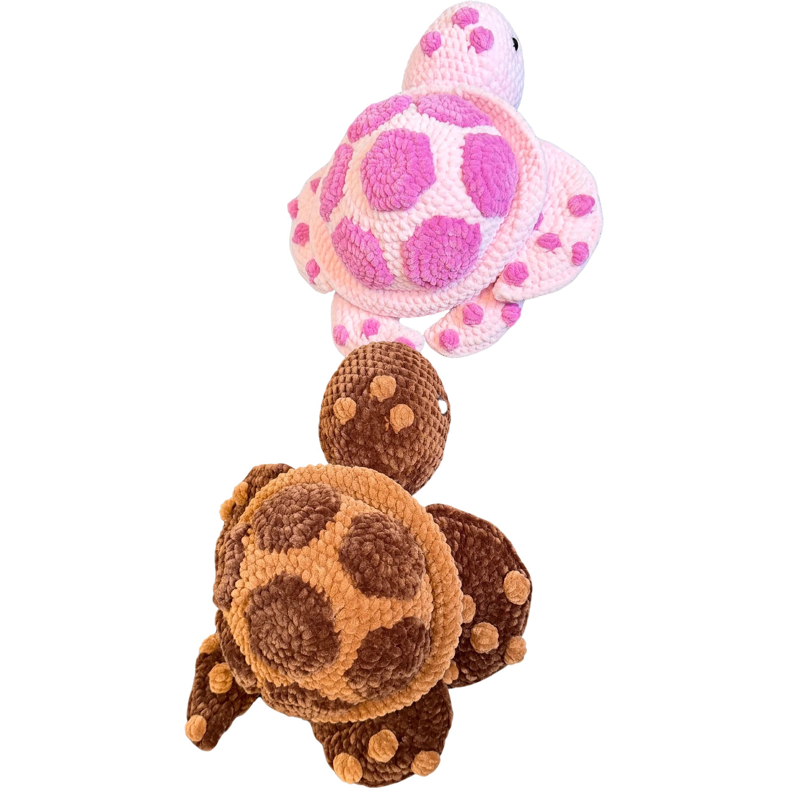 Schildkröte